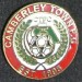 CAMBERLEY TOWN
