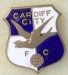 CARDIFF CITY_FC_05