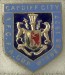 CARDIFF CITY_FC_52