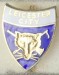 LEICESTER CITY_FC_09