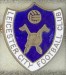 LEICESTER CITY_FC_14