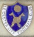 LEICESTER CITY_FC_15
