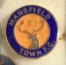 MANSFIELD TOWN_FC_02
